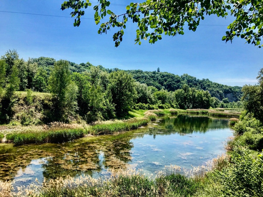 Geneva is ideally situated to explore the surrounding lake and countryside areas. There are countless smaller towns and villages within easy reach of the city just waiting to be discovered by adventurous day trippers #LifeAtExpedia
