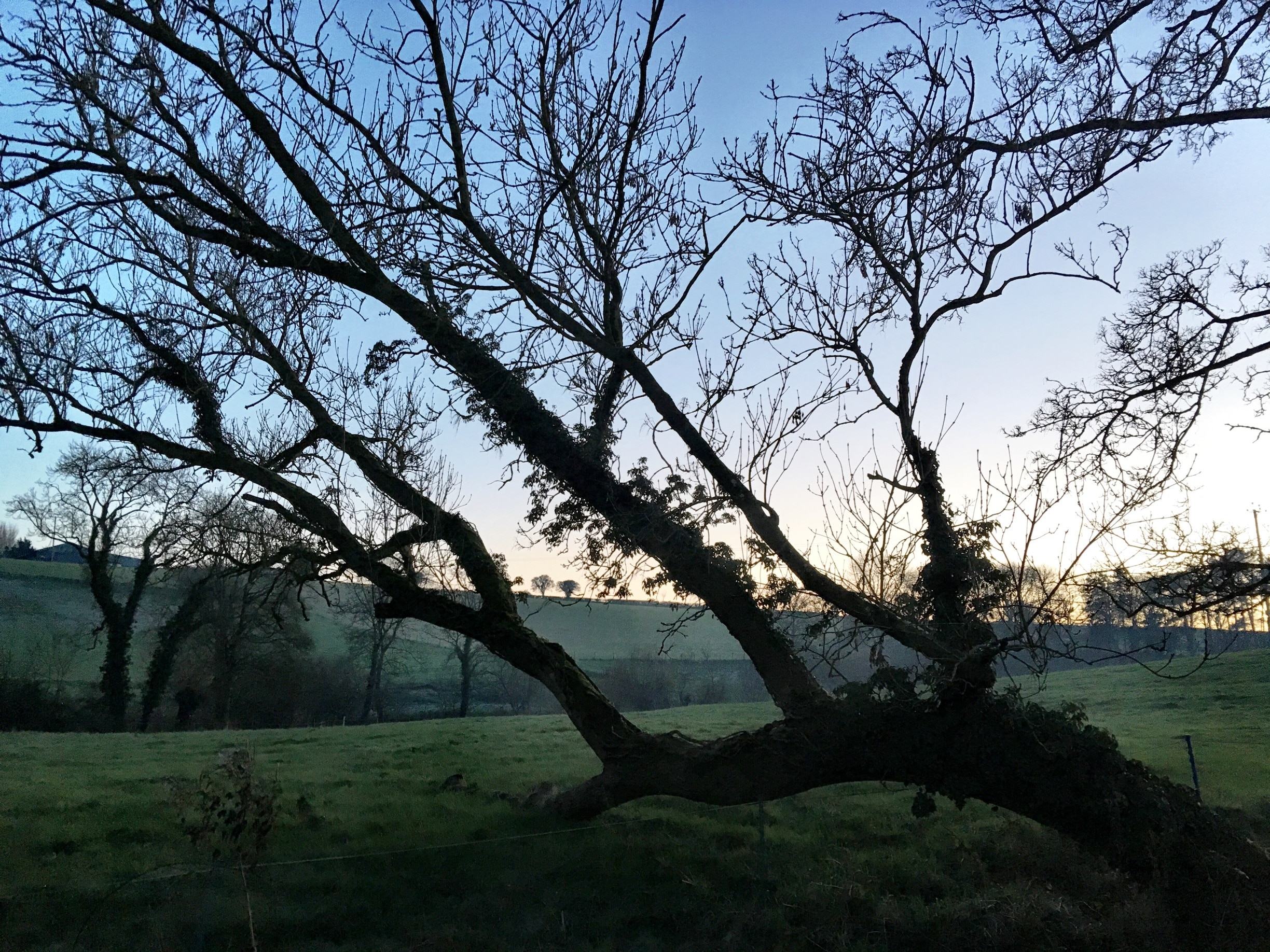 Foto tomada por Andy Mumford