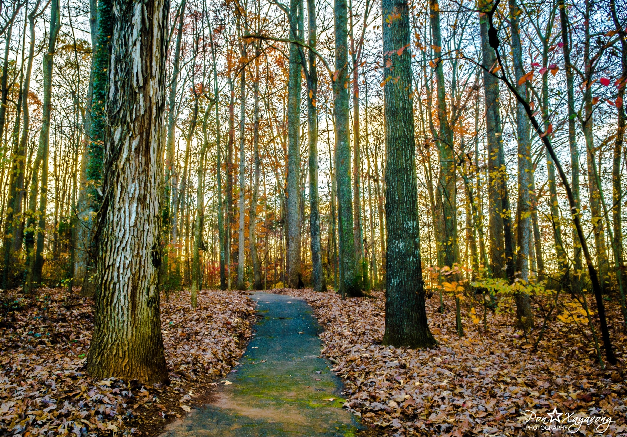 Top 20 Statesville, NC condo and apartment rentals from 76/night Vrbo