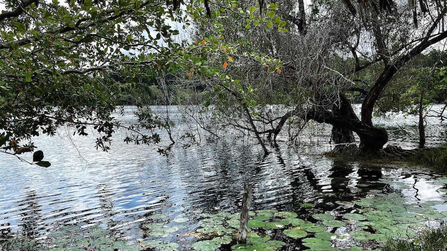 Cenote Azul