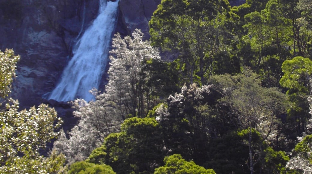 St. Columba Falls, Pyengana, Tasmania, Australia