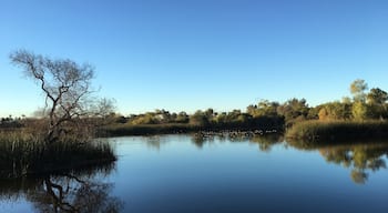 Beautiful morning view from the water reservoir near Beyer Blvd 