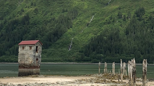 Photo by Charlie Petit