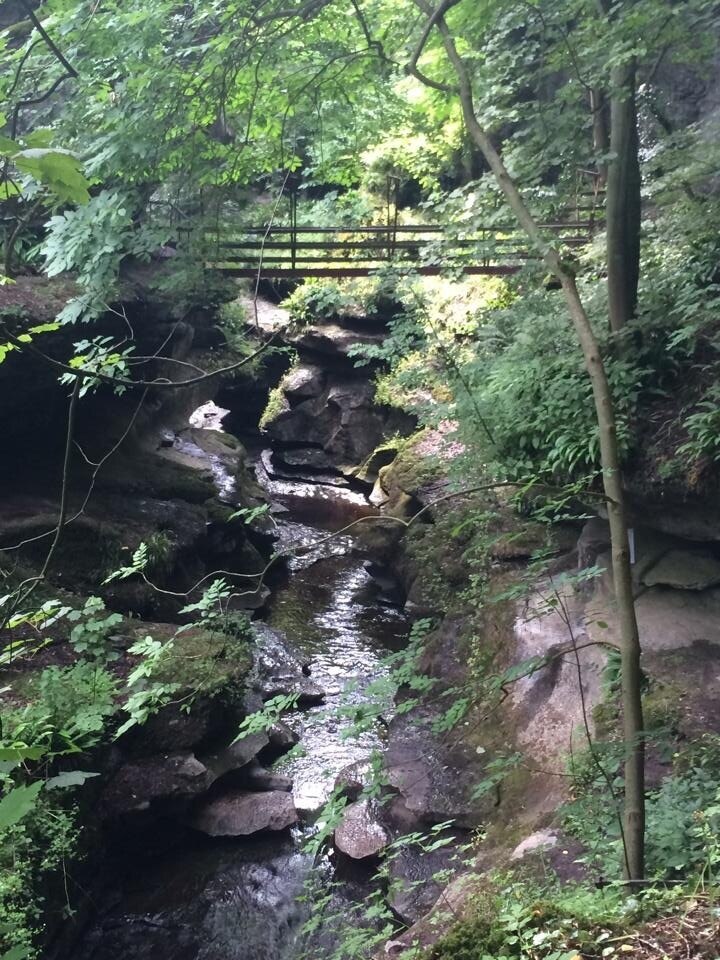 Foto tomada por Neil Ellwood