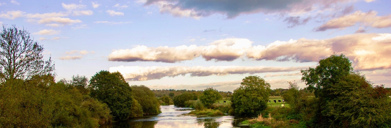 Wimborne, Birleşik Krallık