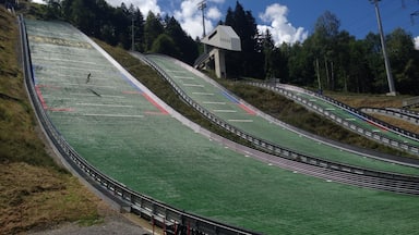 There's a first time for everything: first time I -watched- ski jumping in the summer. Still kind of cool.