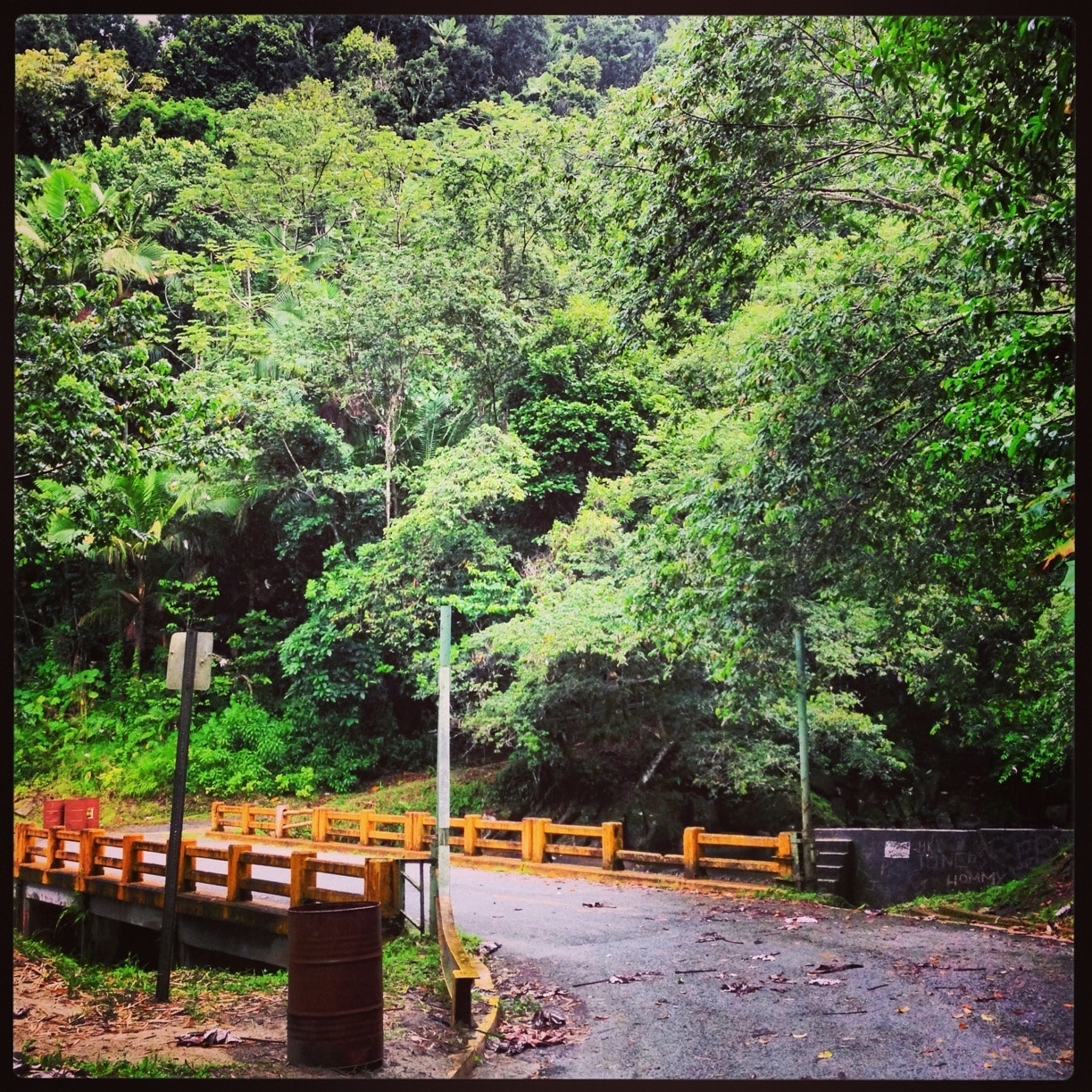 Visit Naguabo 2024 Travel Guide for Naguabo, Puerto Rico Expedia