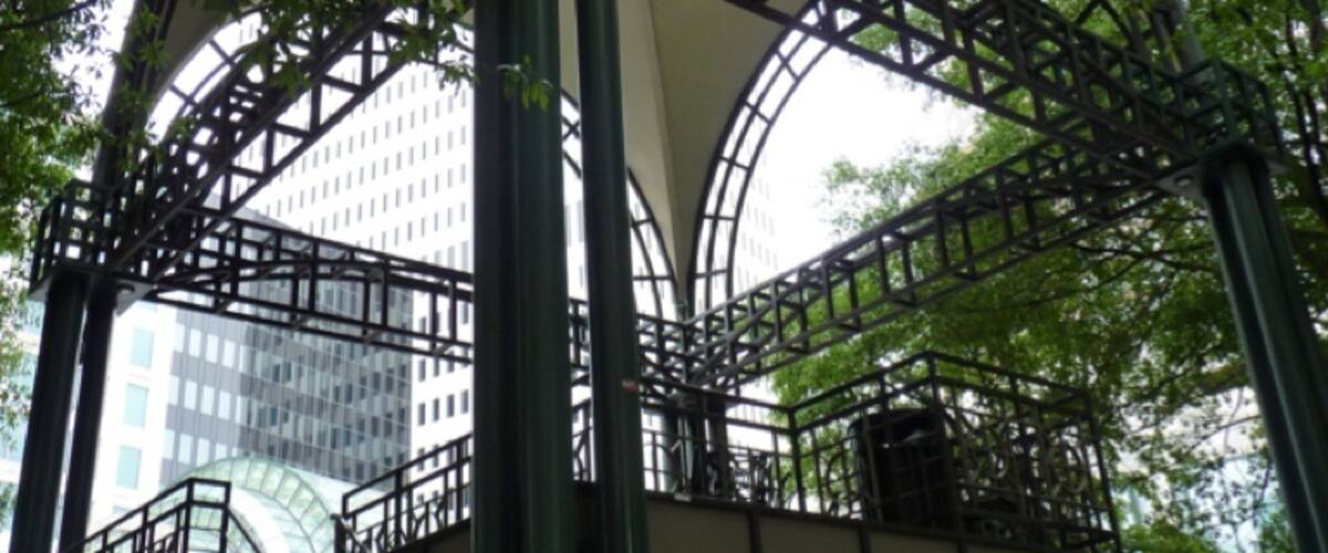 High places for  bird view