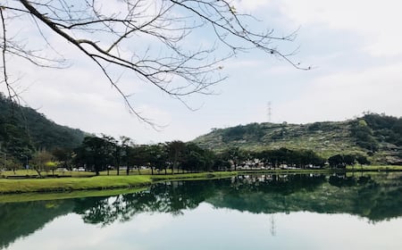 雙連埤民宿評價、特色體驗、房價資訊、訂房連結 – 親子友善與自然生態 - 照片 12