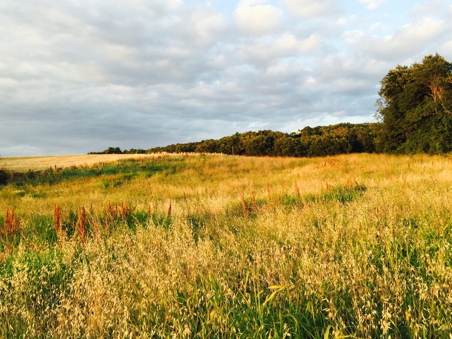 An evening negroni-powered walk in Umbria dropped us into an oil painted dreamscape. #hike #hiking
