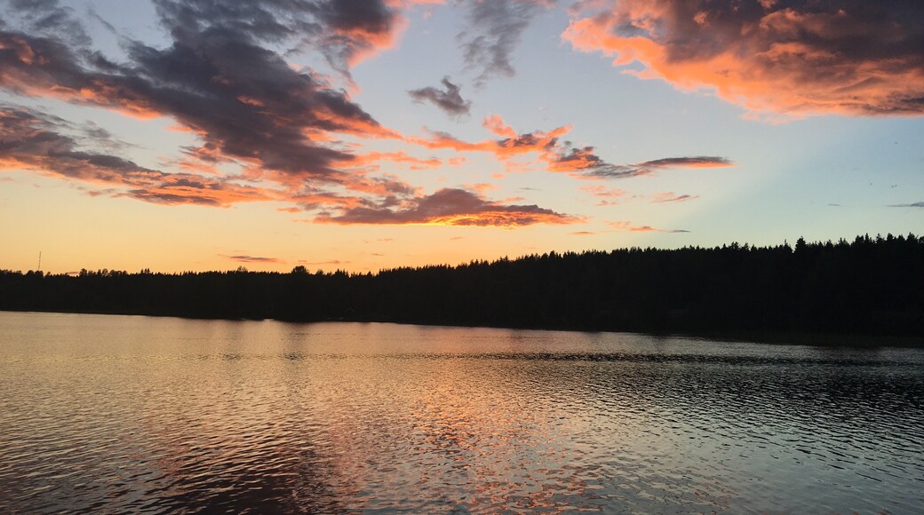 Saarijärvi, Mellersta Finland, Finland