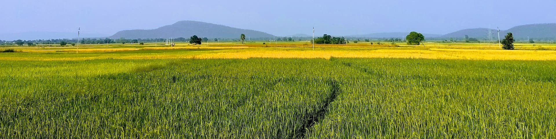 Interior #Telangana is beautiful and green. 
#india #beautifulindia #traveltales