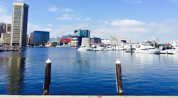 Beautiful day on the Harbor in Baltimore Maryland.