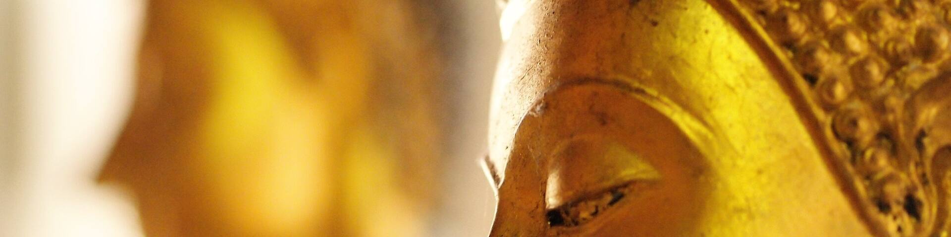 At a temple in Ayuthaya