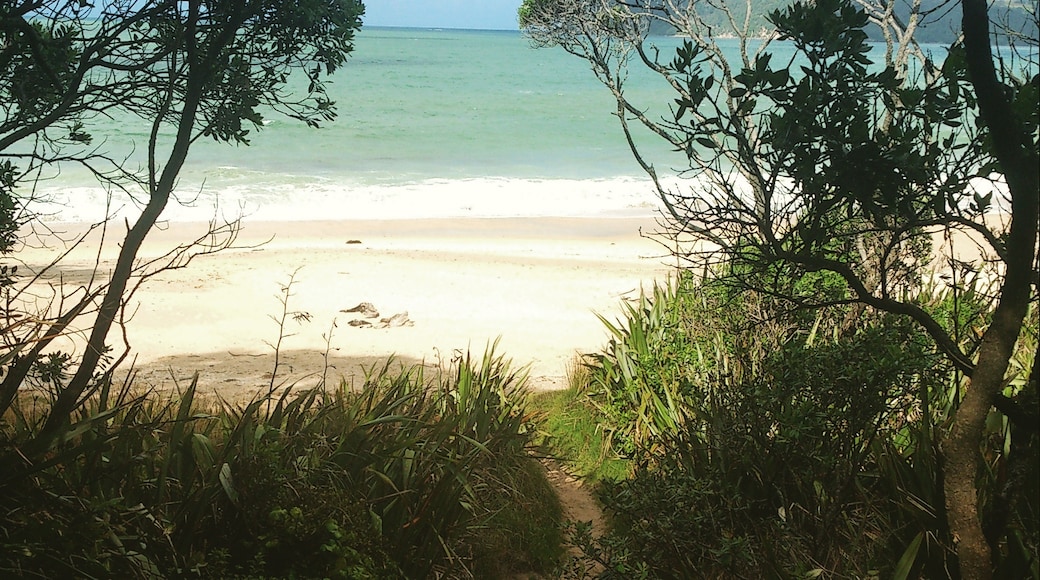 Photo by Jessie Broad