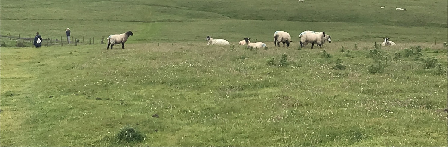 Wick, United Kingdom