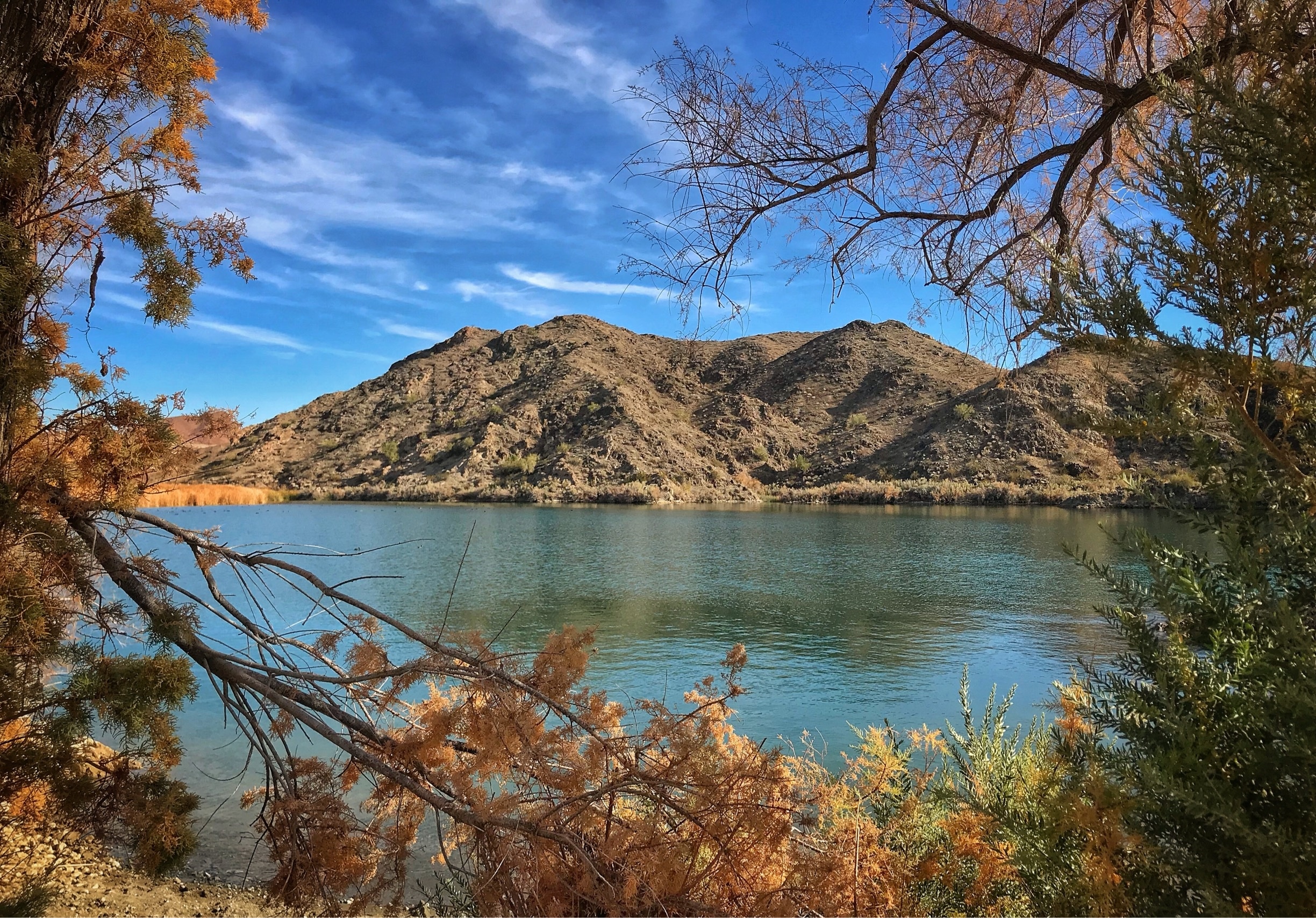 Started out looking for tabletop but ended up making our own trail to this lovely spot on Lake Havasu. Very quiet spot for a lunch break.
#takeahike #weekendgetaway