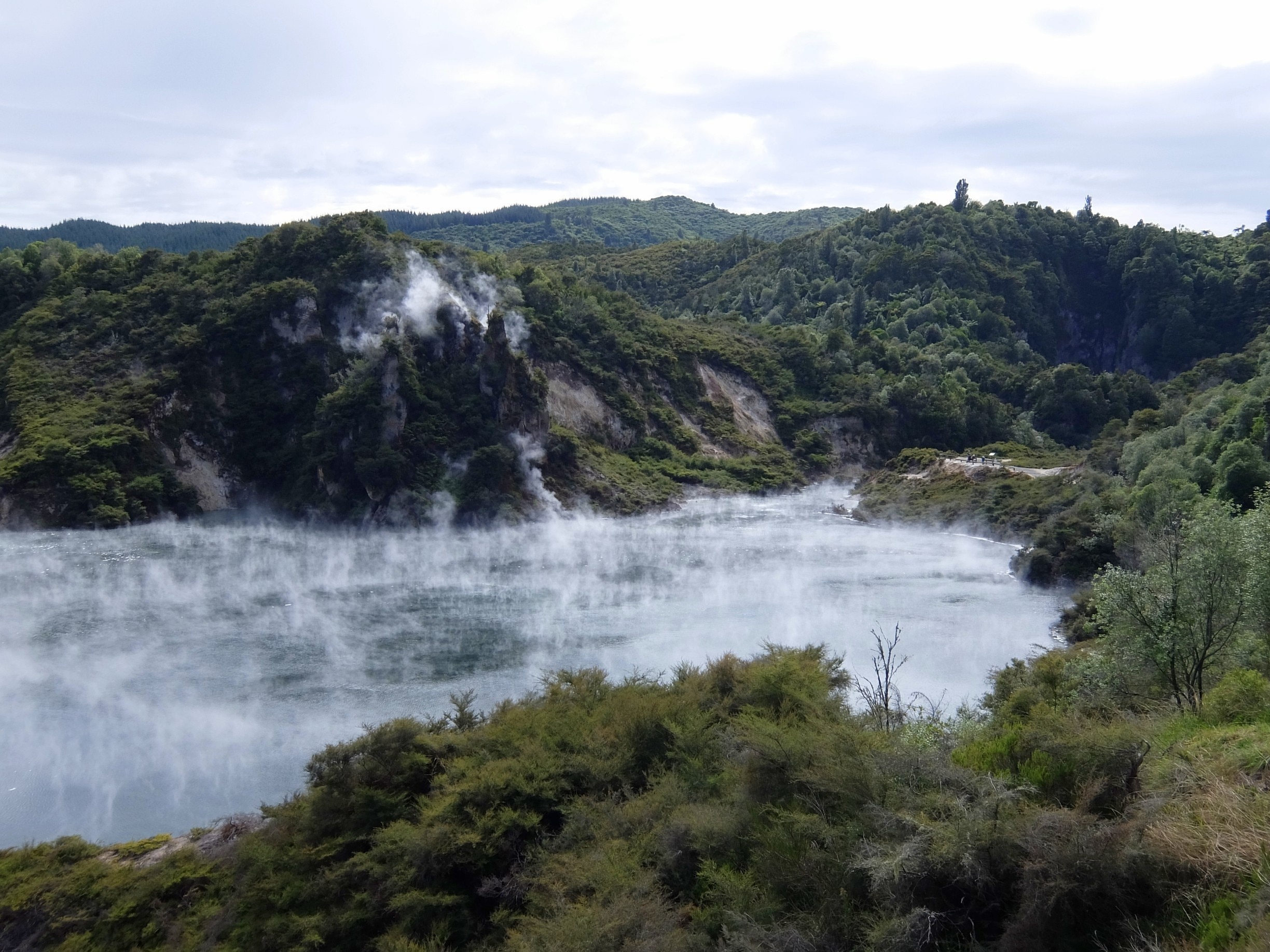 Waimangu Volcanic Valley is the youngest geothermal system in the world. Most people only visit Wai-O-Tapu, but I would definitely recommend visiting Waimangu as well, it's totally different and a lot greener.