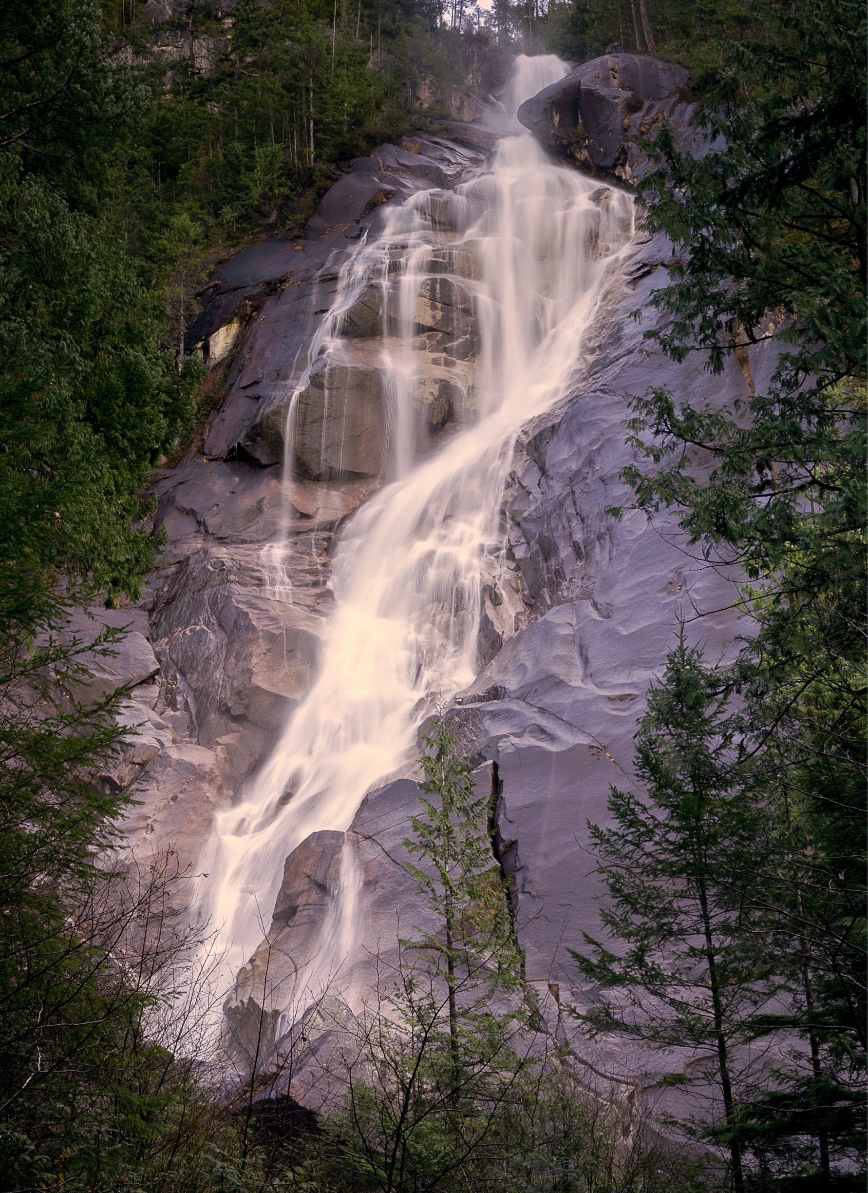 Visit Shannon Falls Provincial Park In Squamish | Expedia