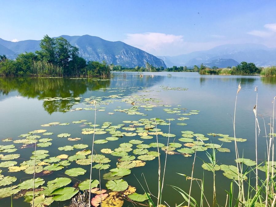 #spring #nature #water #landscape #italy #peace