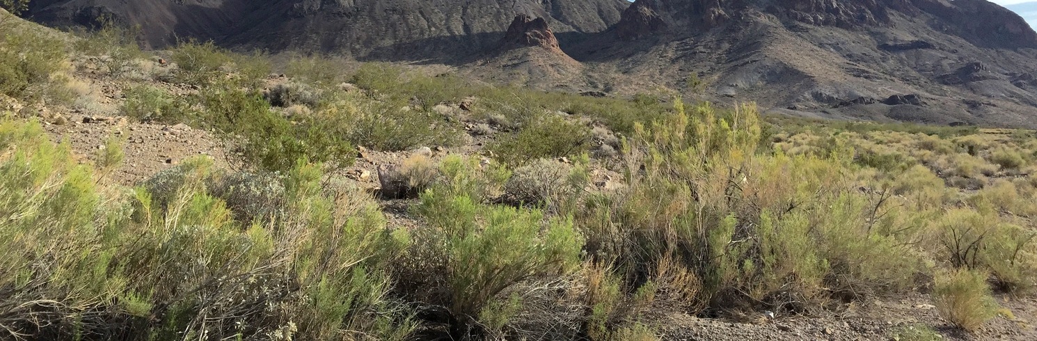 Bullhead City, Arizona, United States of America