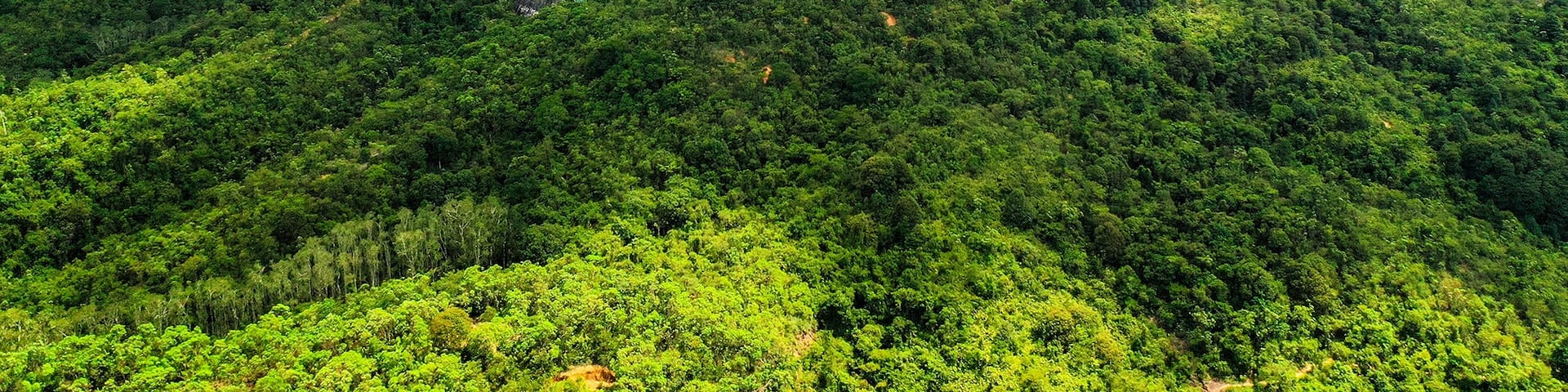 Công viên Ngoại ô Kam Shan, Sha Tin (Sa Điền), Tân Giới, Đặc khu Hành chính Hồng Kông