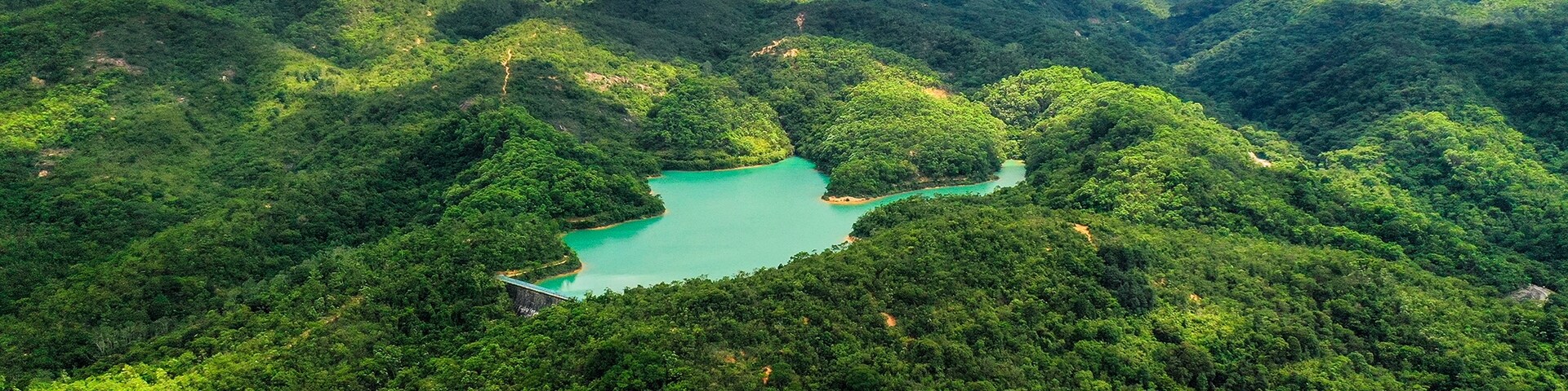 金山郊野公園, 沙田, 新界, 香港特別行政区