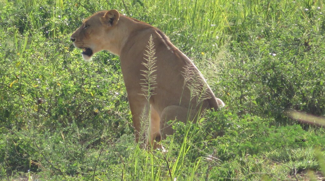 Photo par Sabrina Jane Catherine