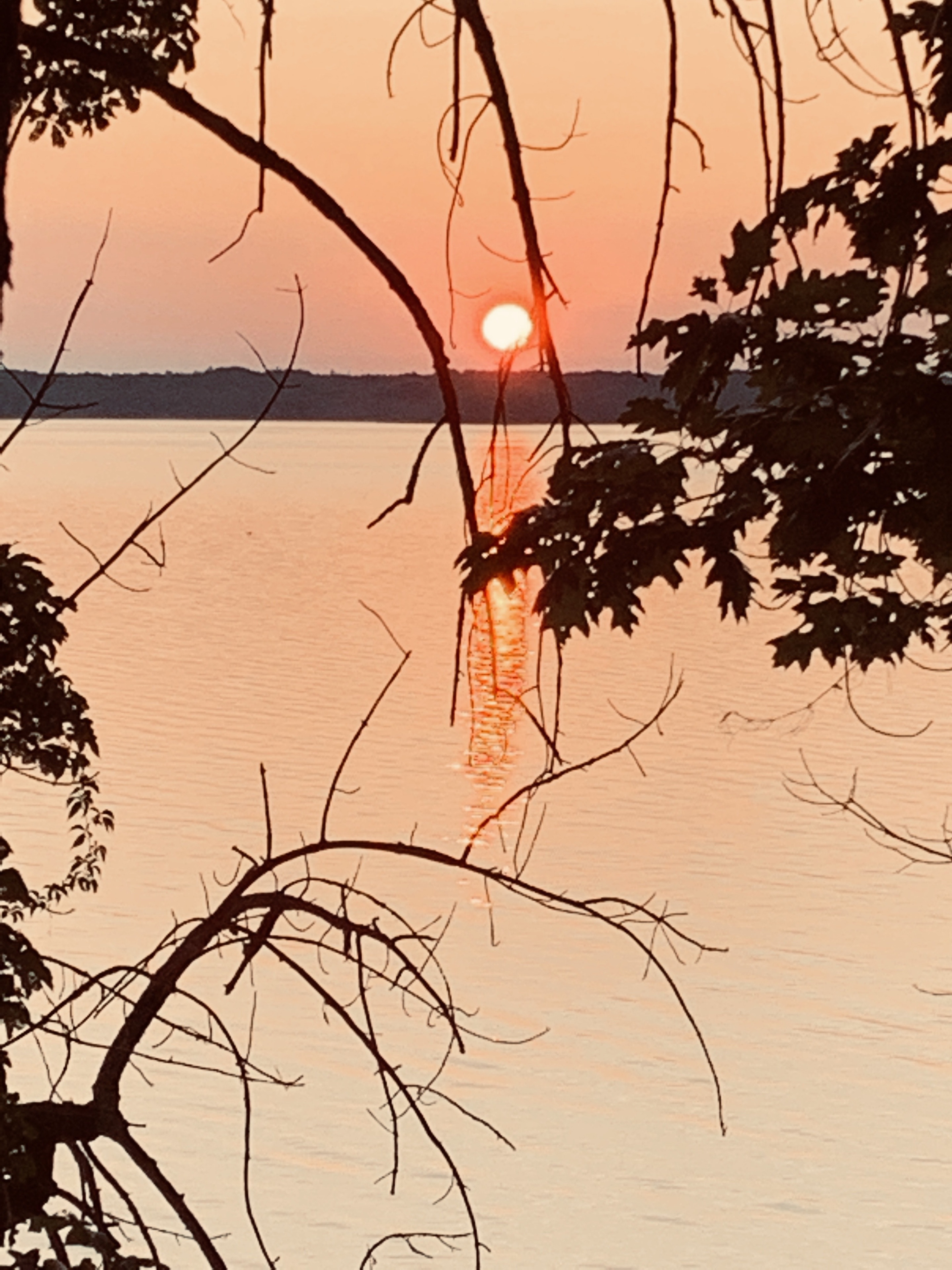 It really does pay off to wake up early and catch the sunrise. To behold the glory of God at the start of a new day. Interlochen State Park is one of our favorite places to pitch a tent. #michigancamping #michigan #sunrise