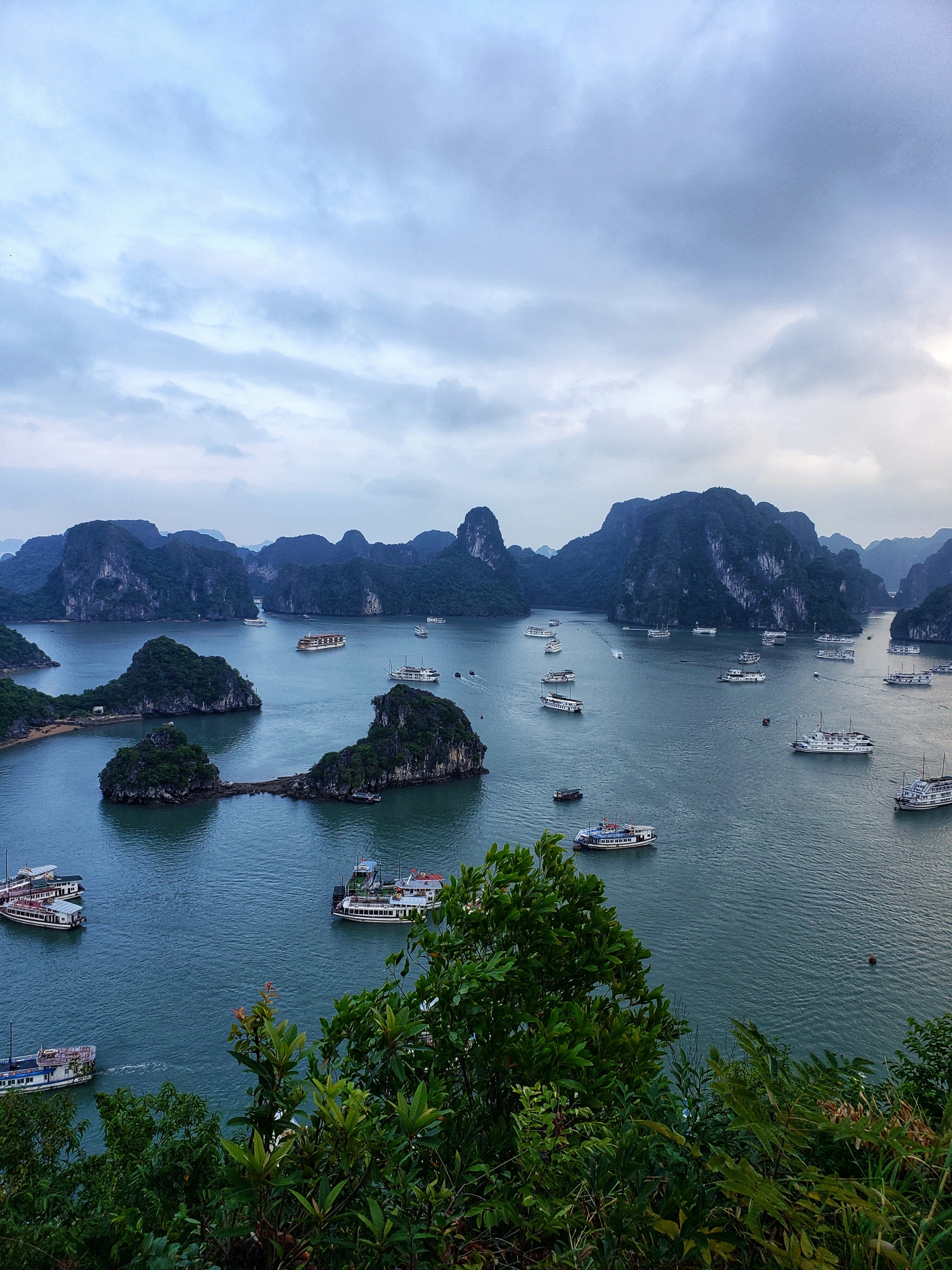 In Halong Bay on 🔝 of the beautiful Ti Top Island. This island allows you to walk about 400 steps up, and you'll get this view!

#nature