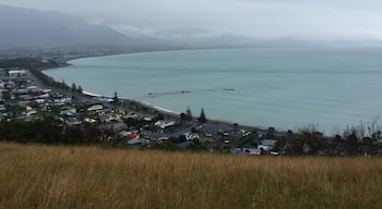 Small but beautiful town. Tons to do. Sadly my seal encounter got cancelled due to weather, but my dolphin encounter was the best thing I've ever done in my entire life. And I heard the whale watching was also phenomenal. When I get back to NZ