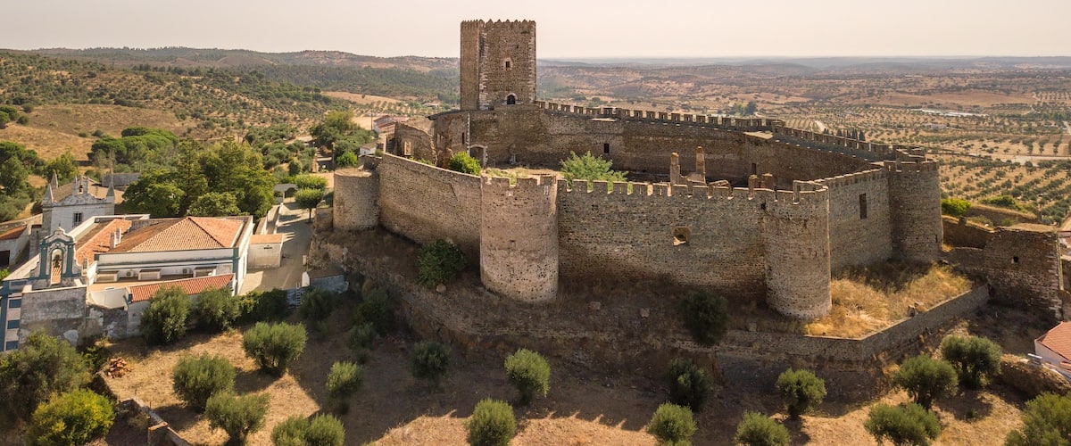 The castle was built in the Gothic style and has a heptagonal shape, the walls are reinforced with round towers at the corners.