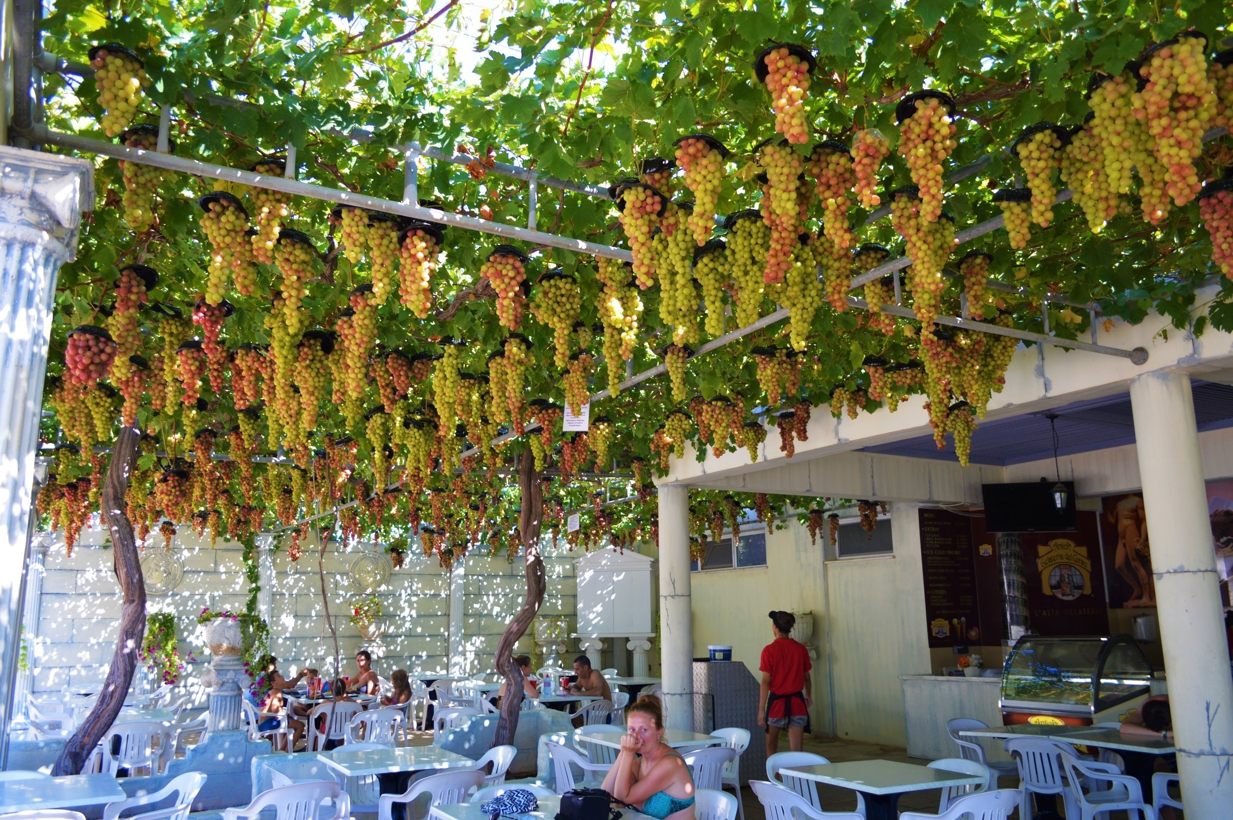 Grape restaurant at Aphrodite Waterpark
