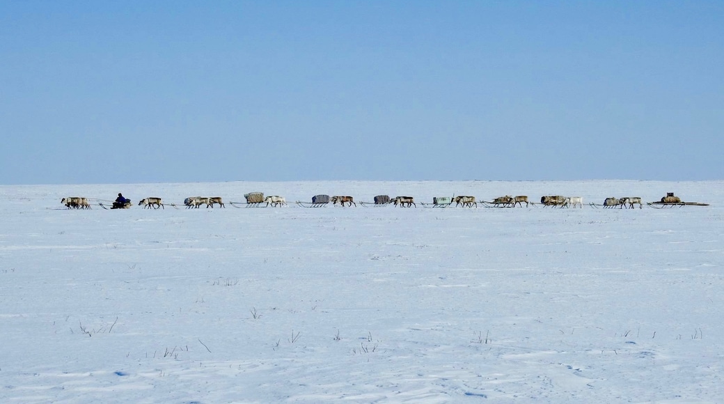Foto tomada por Arctic Russia Travel