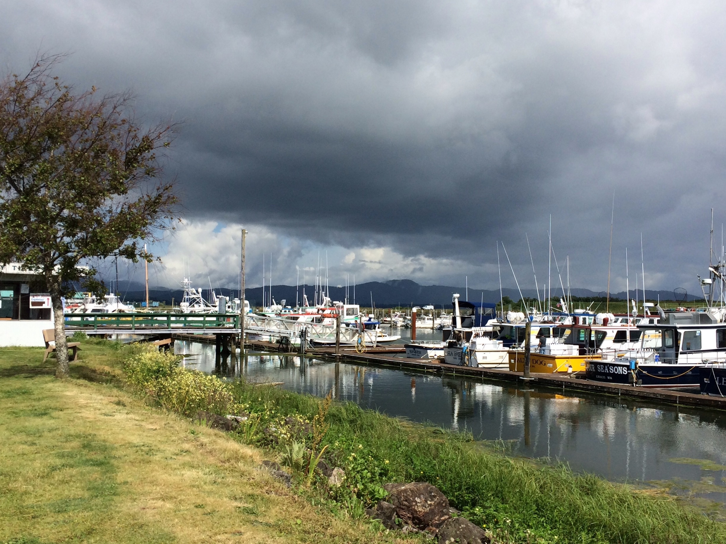 Only 20 minutes from Astoria OR and 10 minutes from Long Beach.  Enjoy the Saturday market along the waterfront, go fishing, or start here on your 8 mile walk or bike ride of the Discovery Trail. Don't let the gray clouds concern you, this is not uncommon. 