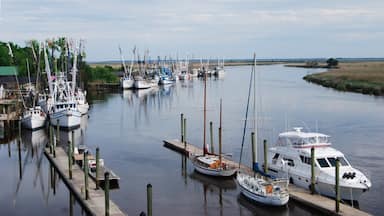 The view of the marina, creek, and marsh from the bridge in Darien is gorgeous. This tiny town if full of fishermen, crabbers, and shrimpers. I love watching all of the shrimping boats come back into dock! 