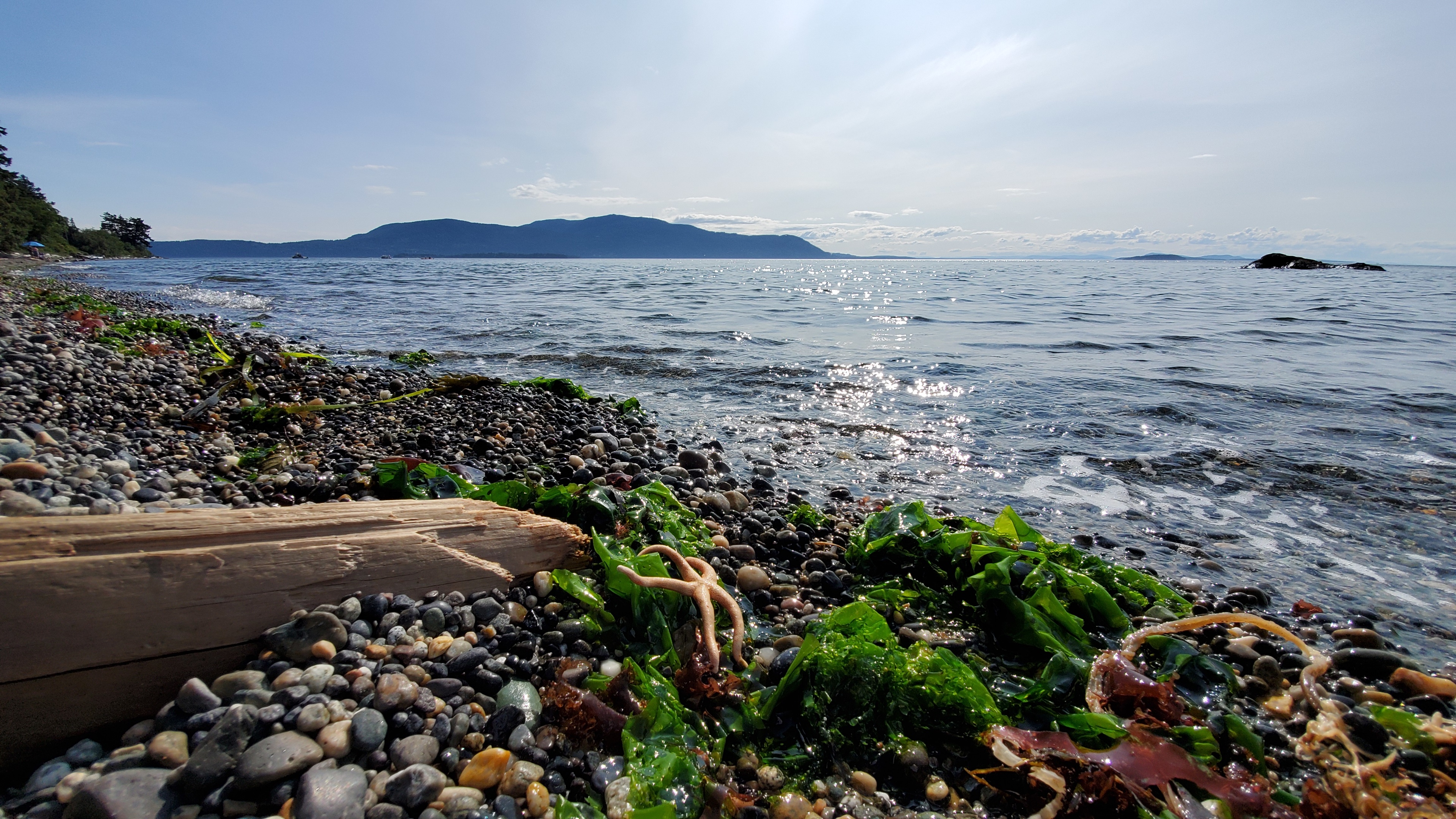 Visit Lummi Island: 2023 Travel Guide for Lummi Island, Washington 