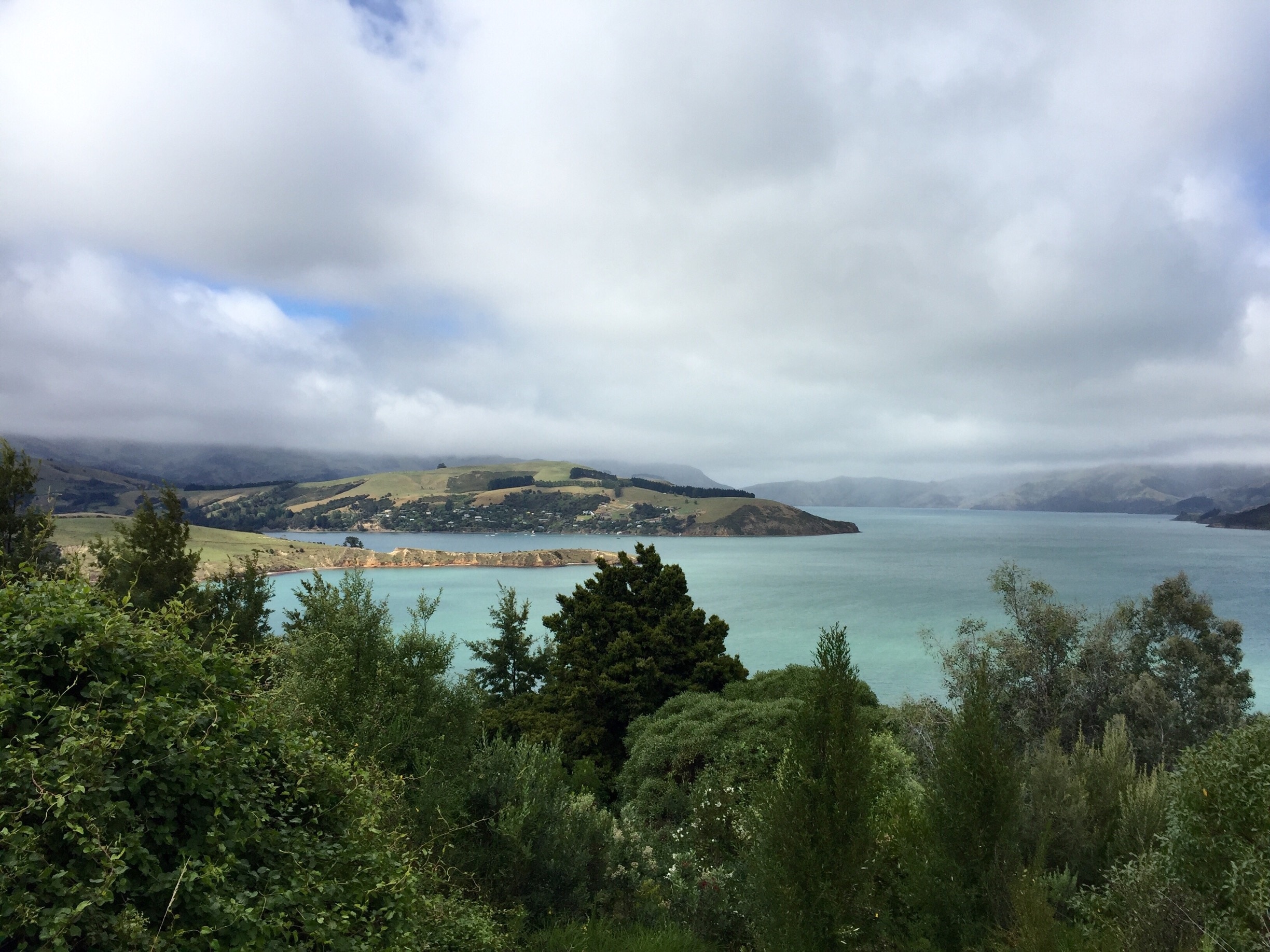 Robinsons Bay, Canterbury, New Zealand