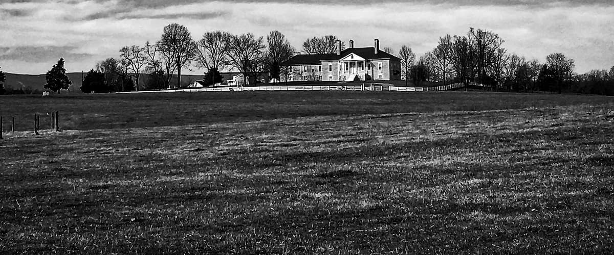 Beautiful drive up to this plantation. You can take a tour of it as well.