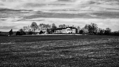 Beautiful drive up to this plantation. You can take a tour of it as well. 