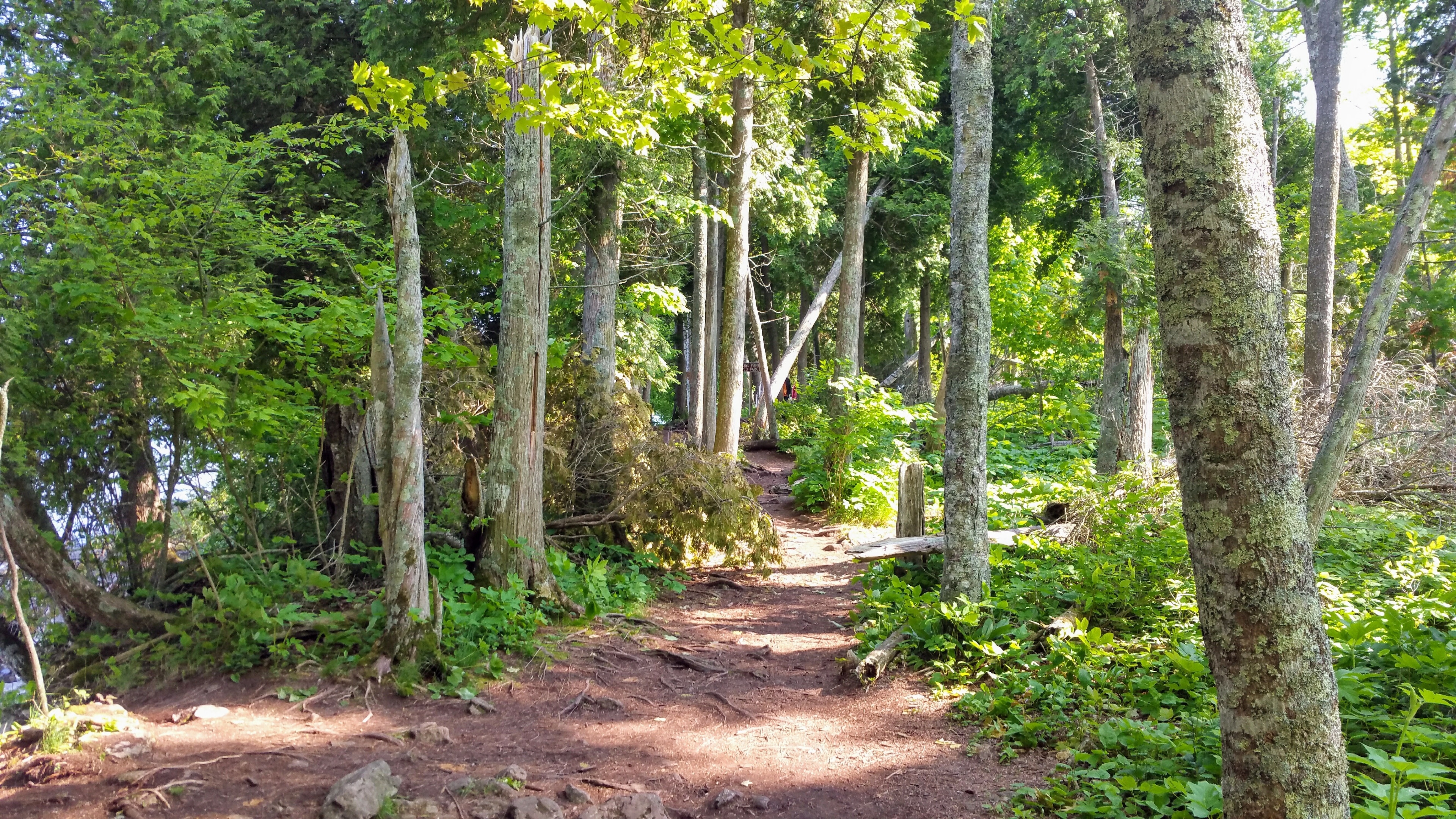 A trail in cave point county park