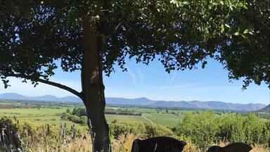 Amazing place to relax and enjoy the view after tasting good wine...