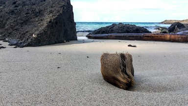 The Southern tip of the Island on the East side doesn't look like anywhere else in the area.  Instead of limestone rocks, there are sharp black basalt boulders around a natural cove of coral sand.  Perfect for a picnic.