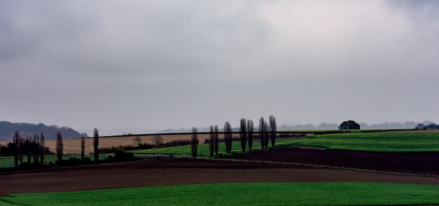 This shot was taken from the top of the 'Gulpenerberg', al hill near the dutch town of Gulpen. It is shot to the north from the hill. The scene you see from here could easily be placed in the Tuscany, what do you think?
#Zuid-Limburg #Heuvelland #netherlands #nature #green #italy #landscape #tuscany #rural #scenery #italian #countryside #meadow #view #field #tuscan #country #background #toscana #scenic #travel #grass #hill #sky #europe #outdoor #seasonal #scene #beautiful #panorama #photography #travelphotography