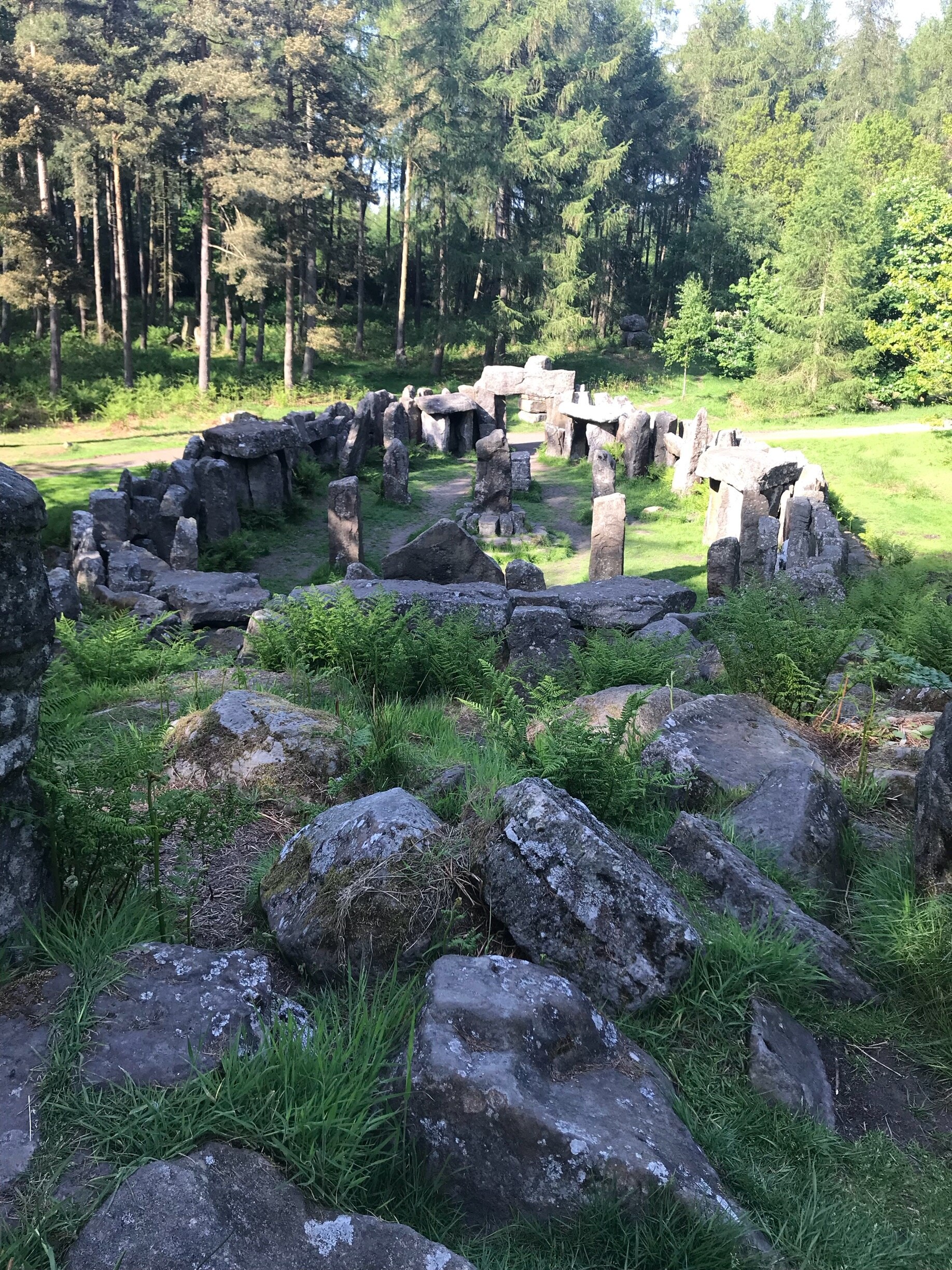 Photo by Sarah Harker