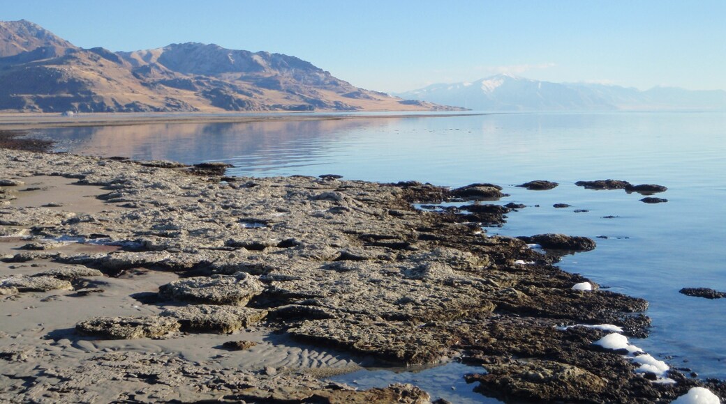 Photo by Ryan Miller