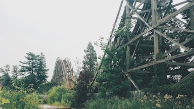 the old coaster at the abandoned geauga lake amusement park.