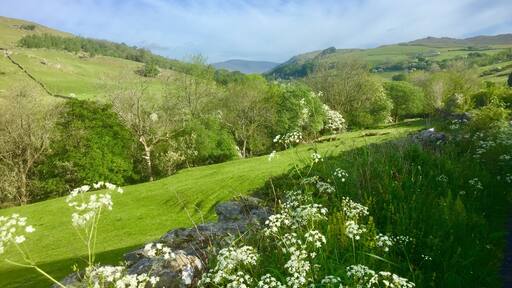 Foto von Kathy Appleby