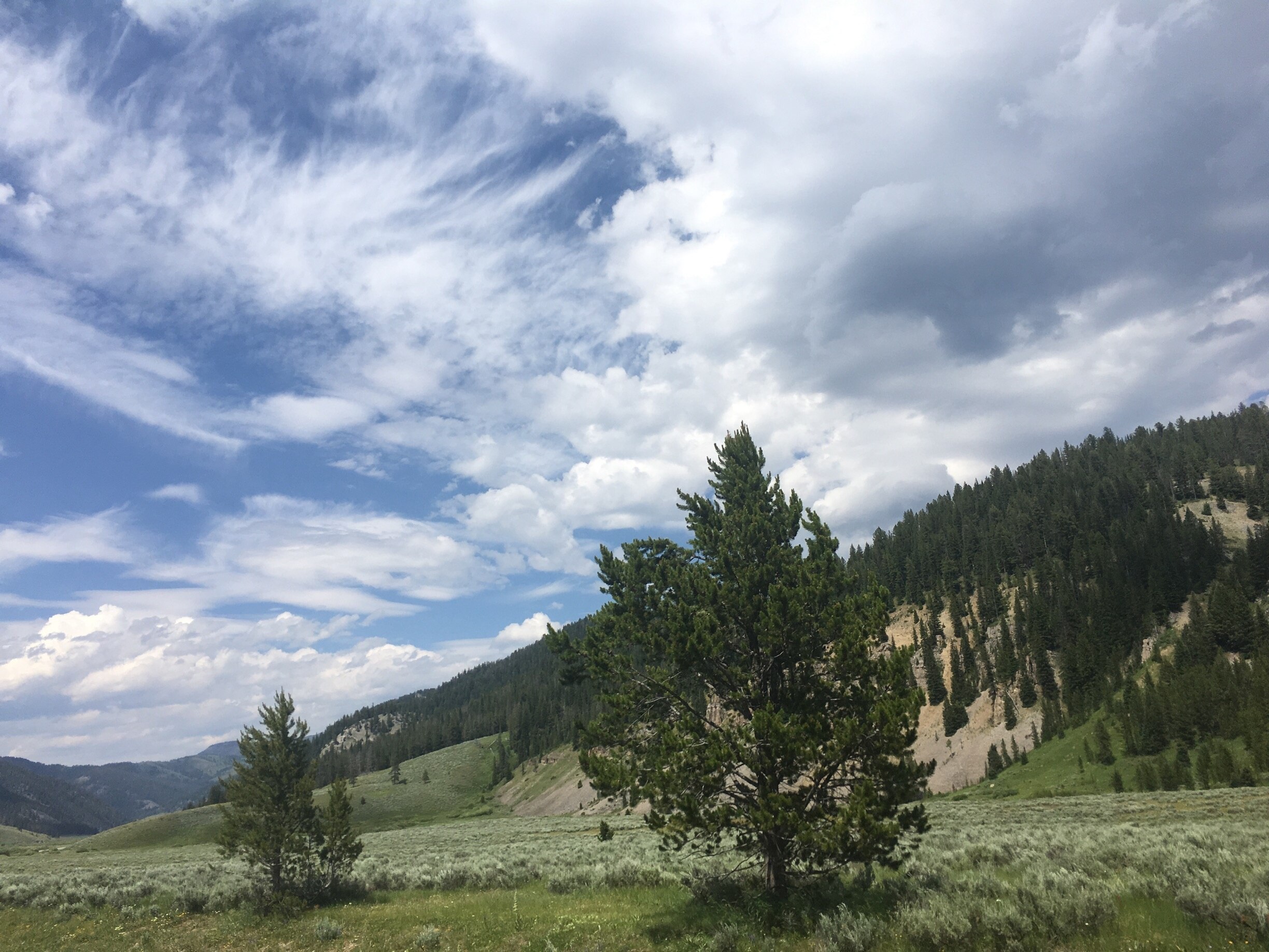 Visit Gallatin Gateway Best of Gallatin Gateway Tourism Expedia