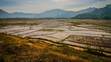 La magie des paysages...
#Vietnam #CaoBang #YenBai #Rizières #Riz #Zen